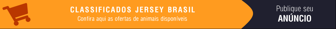 Anúncios